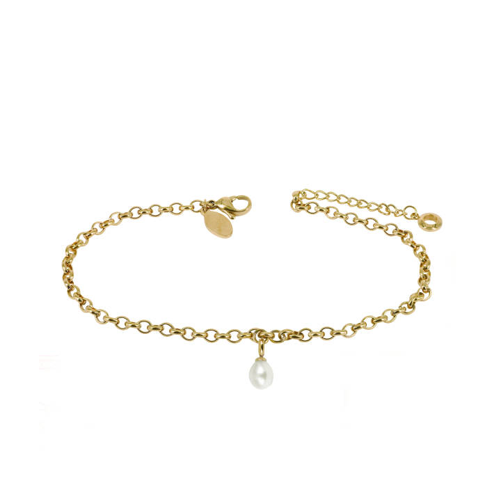 PALMA Single ANKLET Armbänder Gold in der Gruppe Accessoires / Anklet bei SCANDINAVIAN JEWELRY DESIGN (370445)