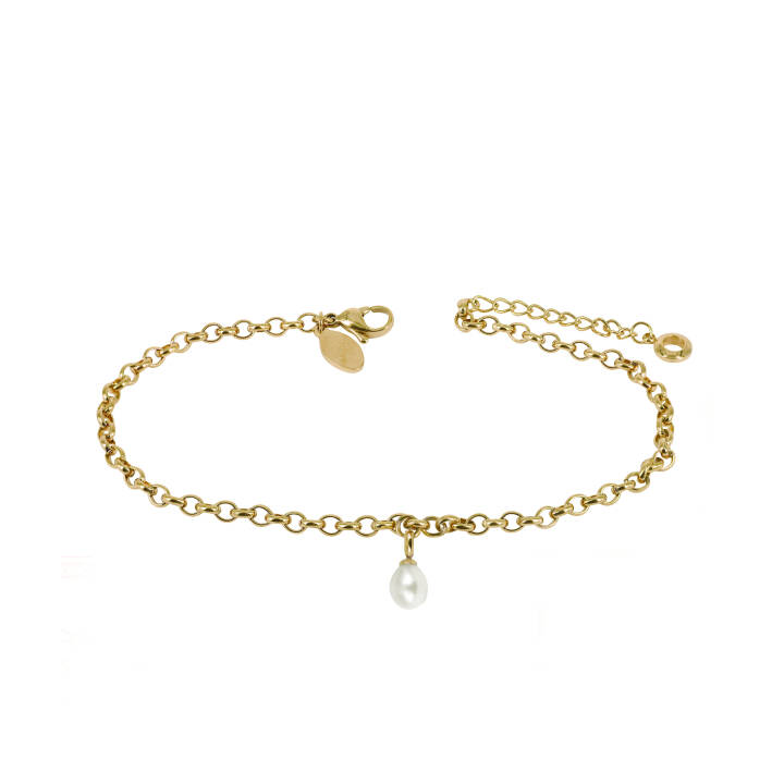 Product Image for astrid&agnes PALMA Single ANKLET Armbänder Gold