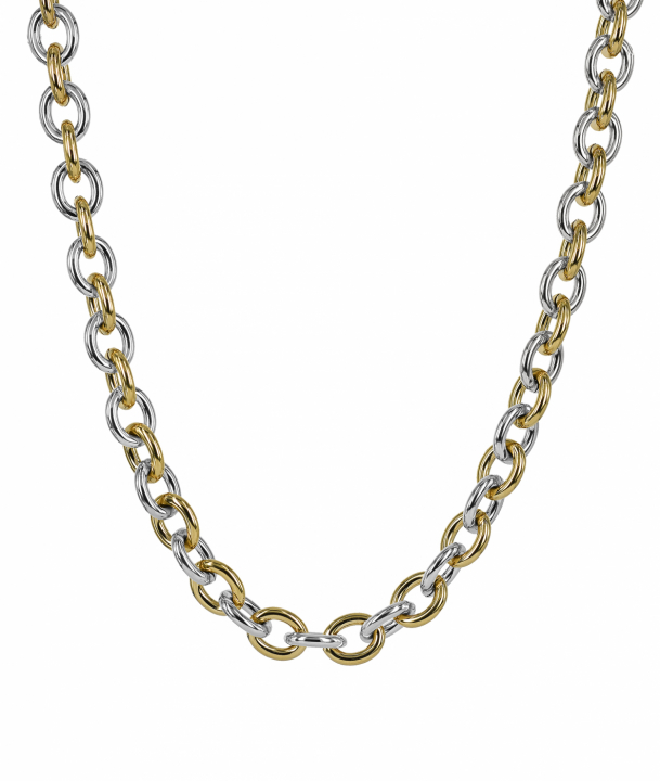 RUBY Halsketten Stål/Gold in der Gruppe Halsketten bei SCANDINAVIAN JEWELRY DESIGN (372067)