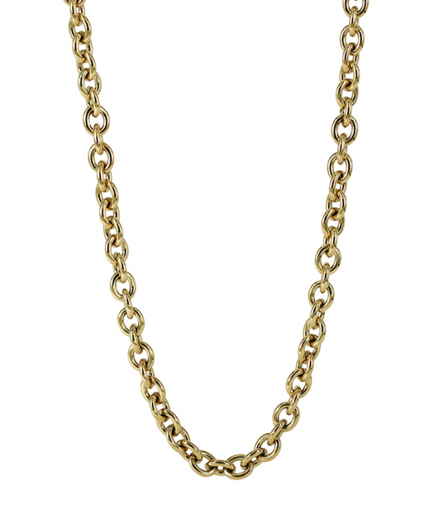 RUBY Small Long Halsketten Gold in der Gruppe Halsketten / Goldhalsketten bei SCANDINAVIAN JEWELRY DESIGN (373033)
