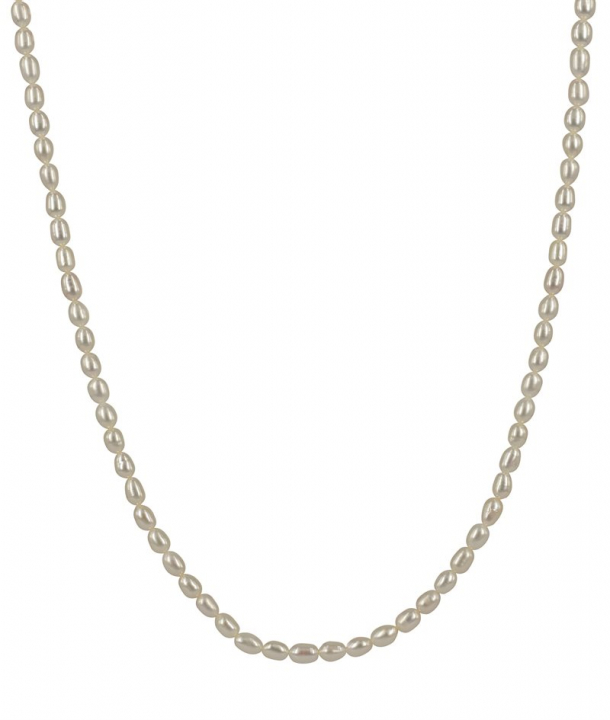 Product Image for astrid&agnes PALMA Långt Necklace Gold 70+8cm