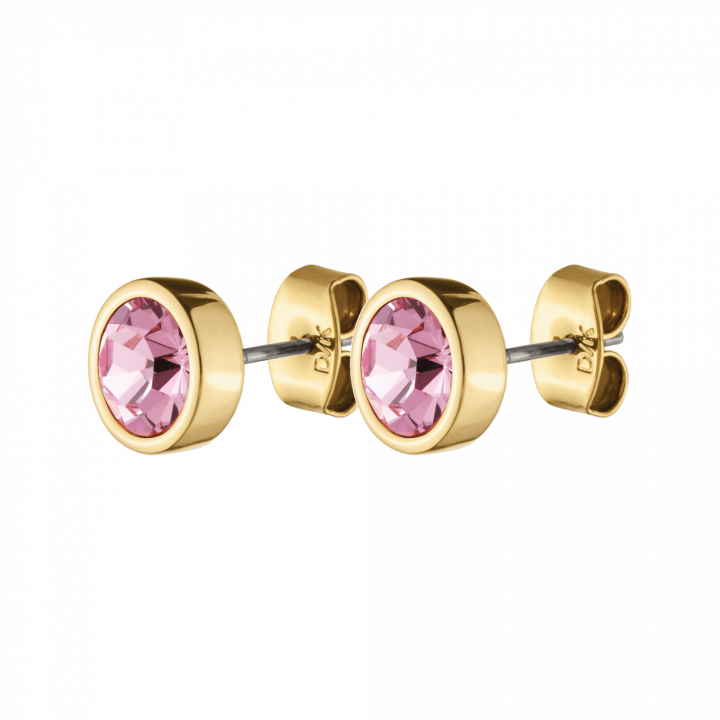 Product Image for DYRBERG/KERN NOBLE Silber LIGHT ROSE Ohrring