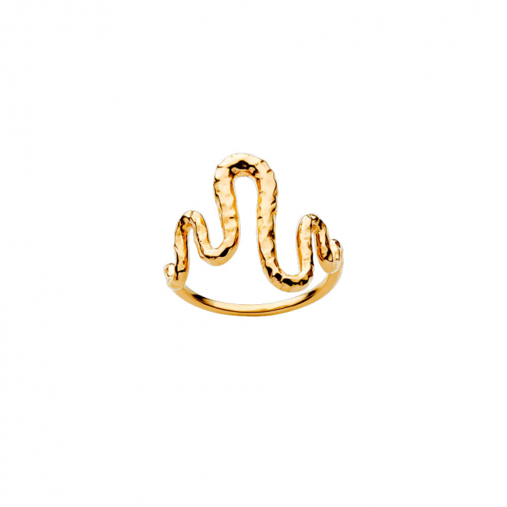 Viva Ring Gold in der Gruppe  bei SCANDINAVIAN JEWELRY DESIGN (4315A)