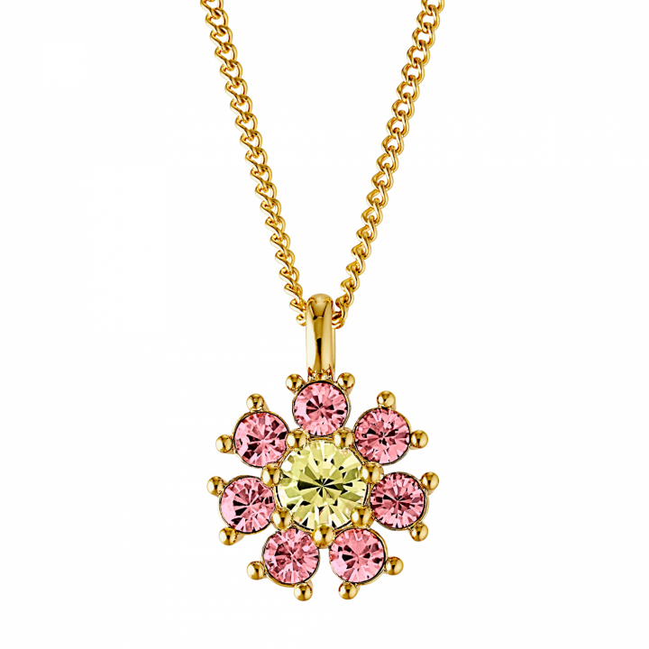 DELISE Gold YELLOW/ROSE in der Gruppe Halsketten / Goldhalsketten bei SCANDINAVIAN JEWELRY DESIGN (440034)