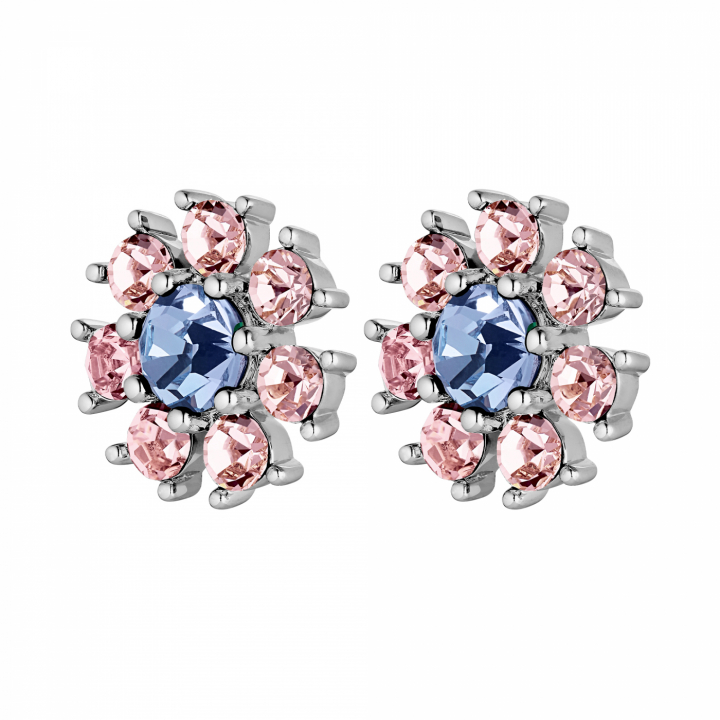 AUDE Silber L.BLUE/ROSE in der Gruppe Ohrringe / Silberohrringe  bei SCANDINAVIAN JEWELRY DESIGN (440038)