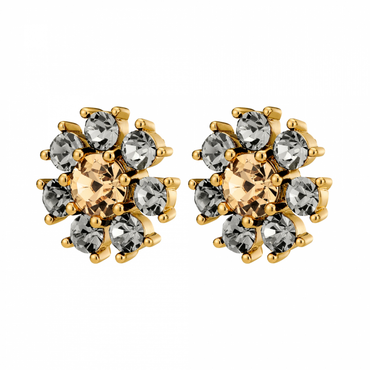 AUDE SG GREY /GOLDEN Earrings Gold in der Gruppe Ohrringe / Goldohrringe bei SCANDINAVIAN JEWELRY DESIGN (450097)