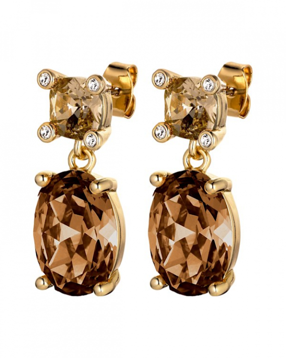 ANTONIA SG BROWN EARRINGS GOLD in der Gruppe Ohrringe / Goldohrringe bei SCANDINAVIAN JEWELRY DESIGN (470147)