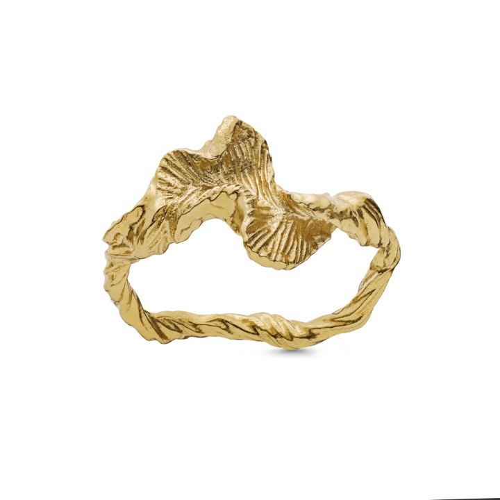 Nino ring (Gold) in der Gruppe Ringe / Goldringe bei SCANDINAVIAN JEWELRY DESIGN (4756a)