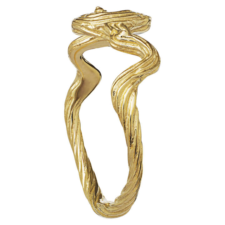 Freya Ring (Gold) in der Gruppe Ringe / Goldringe bei SCANDINAVIAN JEWELRY DESIGN (4768a)