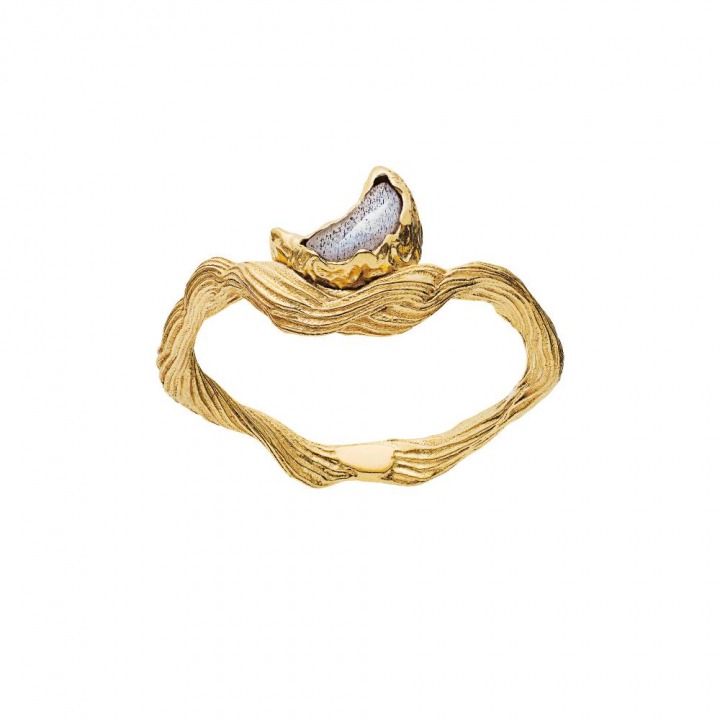 Cordelia Ring (Gold) in der Gruppe Ringe / Goldringe bei SCANDINAVIAN JEWELRY DESIGN (4773a)