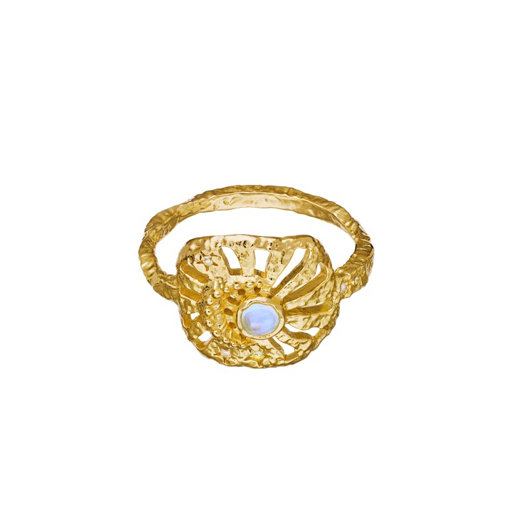 Soluna Ring Gold in der Gruppe Ringe / Goldringe bei SCANDINAVIAN JEWELRY DESIGN (4776a)
