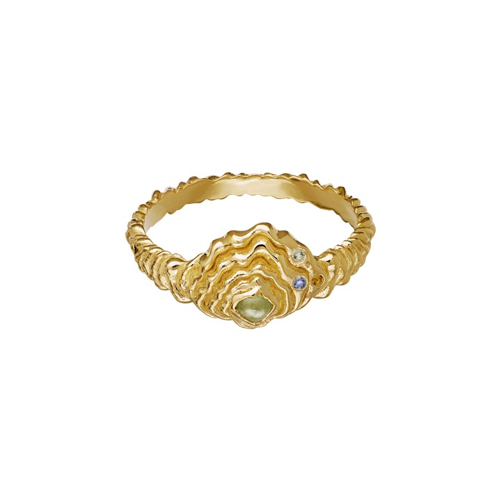 Aia Ring Gold in der Gruppe Ringe / Goldringe bei SCANDINAVIAN JEWELRY DESIGN (4777a)