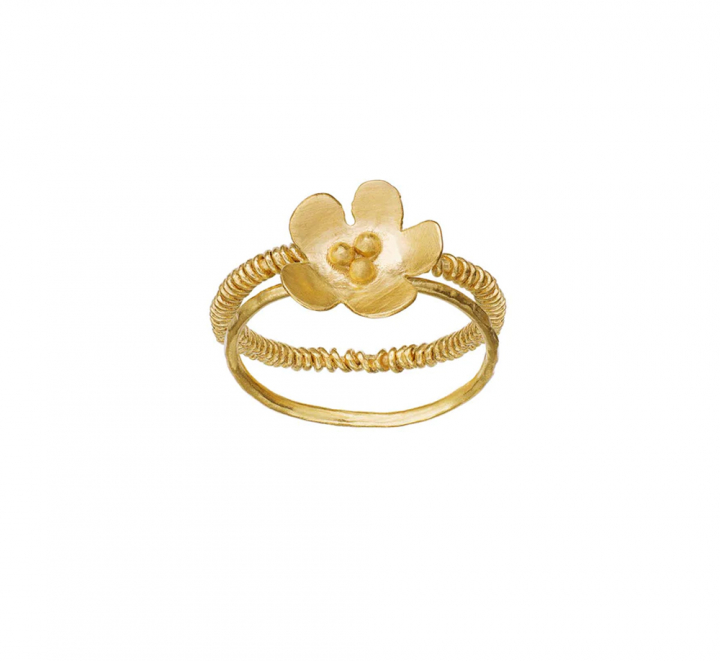 in der Gruppe Ringe / Goldringe bei SCANDINAVIAN JEWELRY DESIGN (4781a)