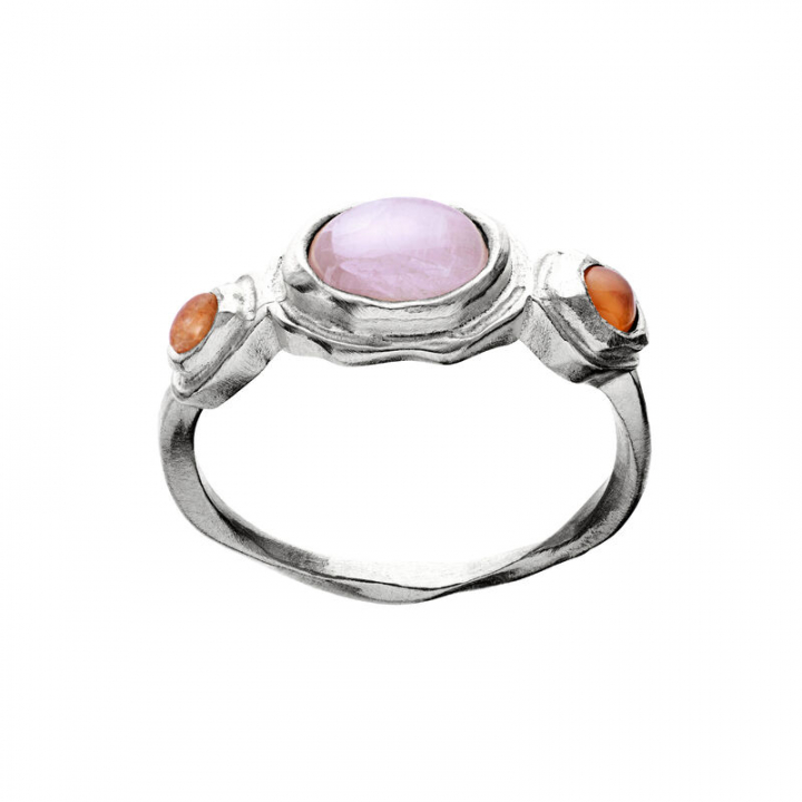 Product Image for Maanesten Nemo ring silver 61