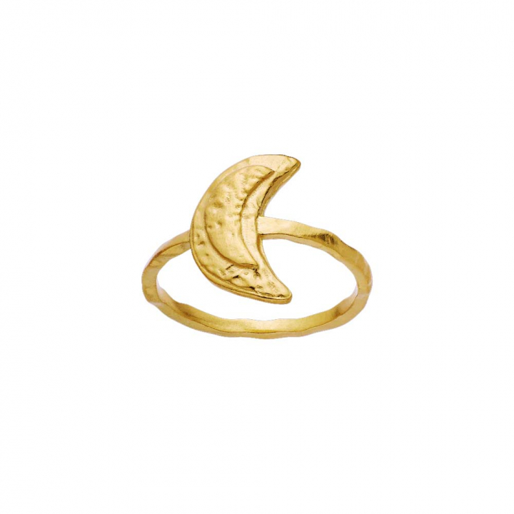 Jacinta Ring Gold in der Gruppe Ringe / Goldringe bei SCANDINAVIAN JEWELRY DESIGN (4811A)