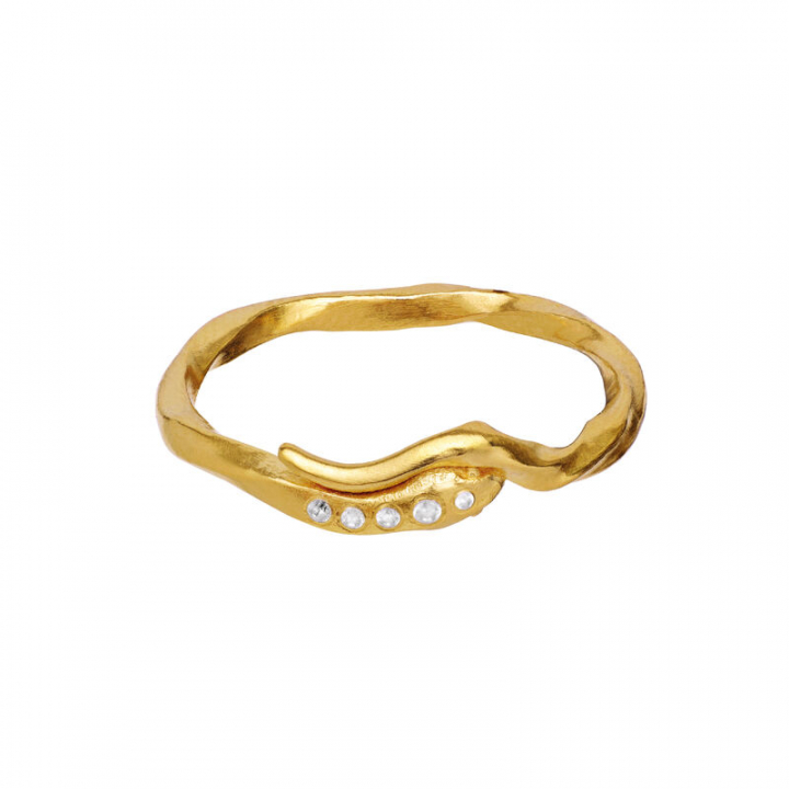 Hera Ring Gold in der Gruppe Ringe / Goldringe bei SCANDINAVIAN JEWELRY DESIGN (4814A)