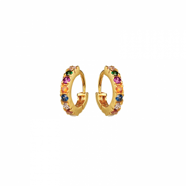 Nubia Color Ohrring (Gold) in der Gruppe Ohrringe / Goldohrringe bei SCANDINAVIAN JEWELRY DESIGN (9337a)