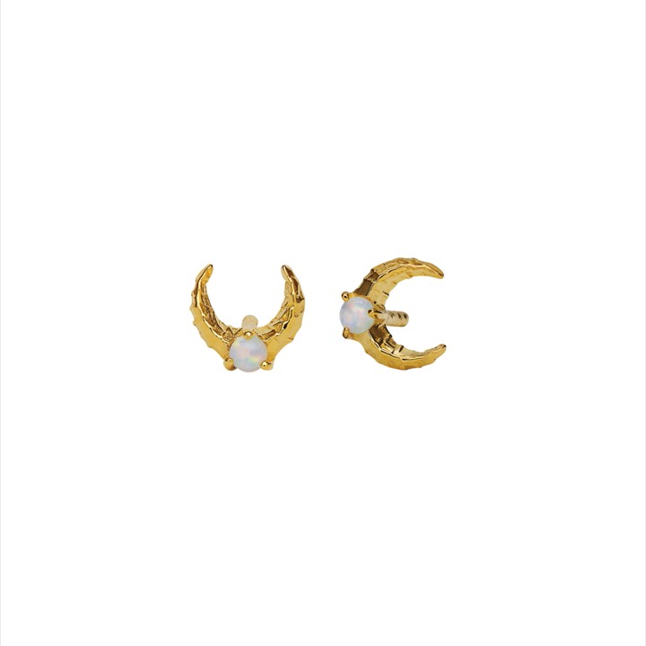 Nynette Ohrring (Gold) in der Gruppe Ohrringe / Goldohrringe bei SCANDINAVIAN JEWELRY DESIGN (9618a)