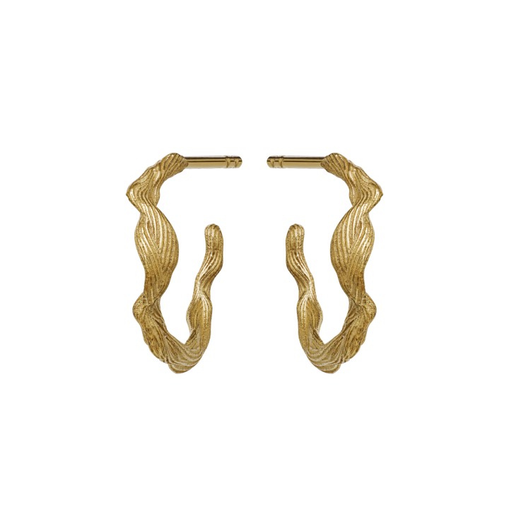 Ara Ohrring (Gold) in der Gruppe Ohrringe / Goldohrringe bei SCANDINAVIAN JEWELRY DESIGN (9696a)