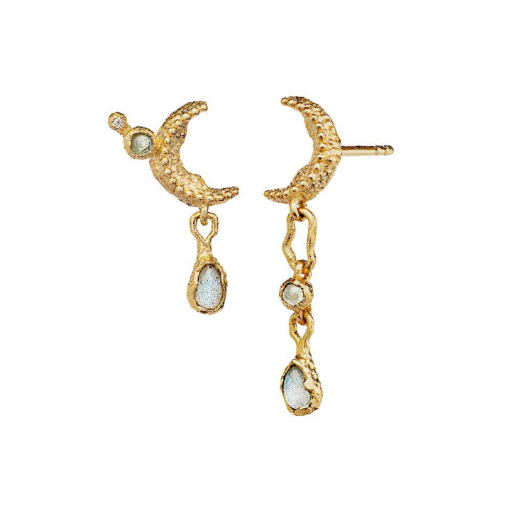 Elara Earring (Gold) in der Gruppe Ohrringe / Goldohrringe bei SCANDINAVIAN JEWELRY DESIGN (9733a)