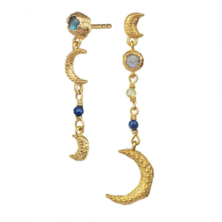 Pheobe Earring (Gold) in der Gruppe Ohrringe / Goldohrringe bei SCANDINAVIAN JEWELRY DESIGN (9735a)