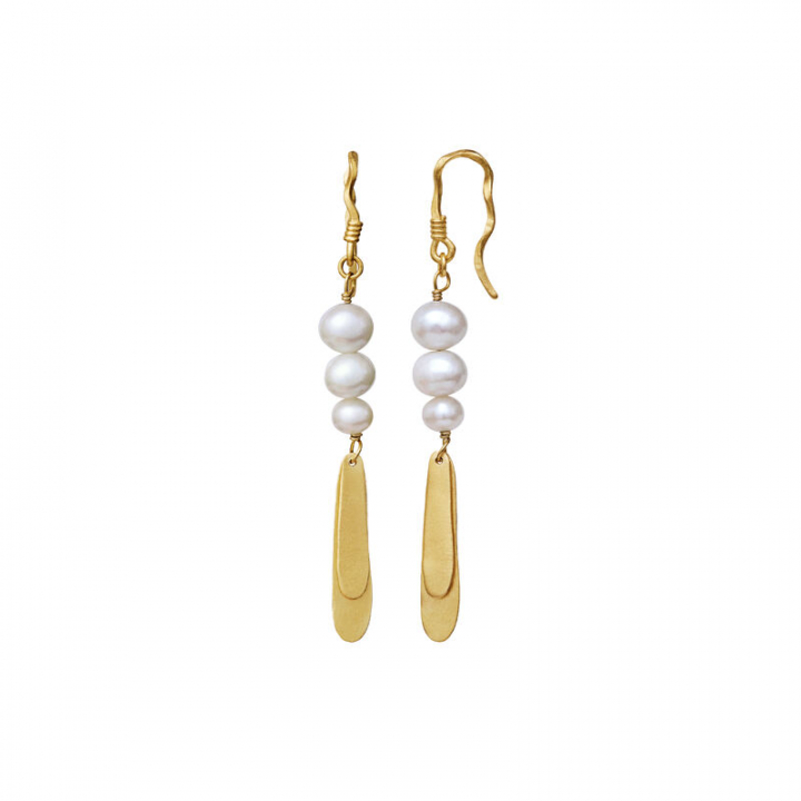 Smilla Ohrring Gold in der Gruppe Ohrringe / Perlenohrringe bei SCANDINAVIAN JEWELRY DESIGN (9808a)