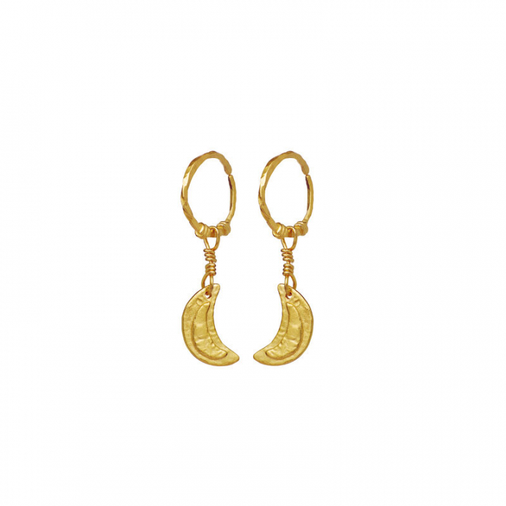 Odessa Ohrring Gold in der Gruppe Ohrringe / Goldohrringe bei SCANDINAVIAN JEWELRY DESIGN (9841A)