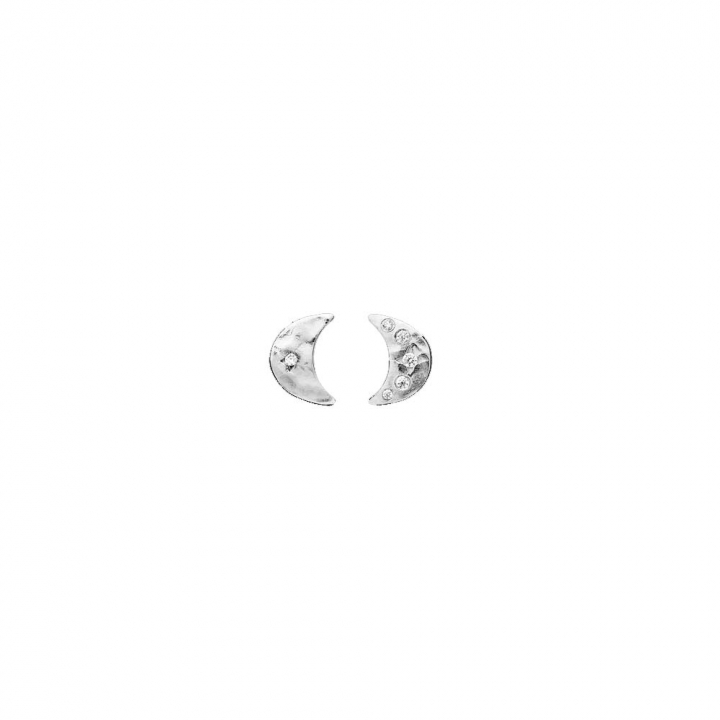 Aega Earsticks Silber in der Gruppe Ohrringe / Silberohrringe  bei SCANDINAVIAN JEWELRY DESIGN (9857C)