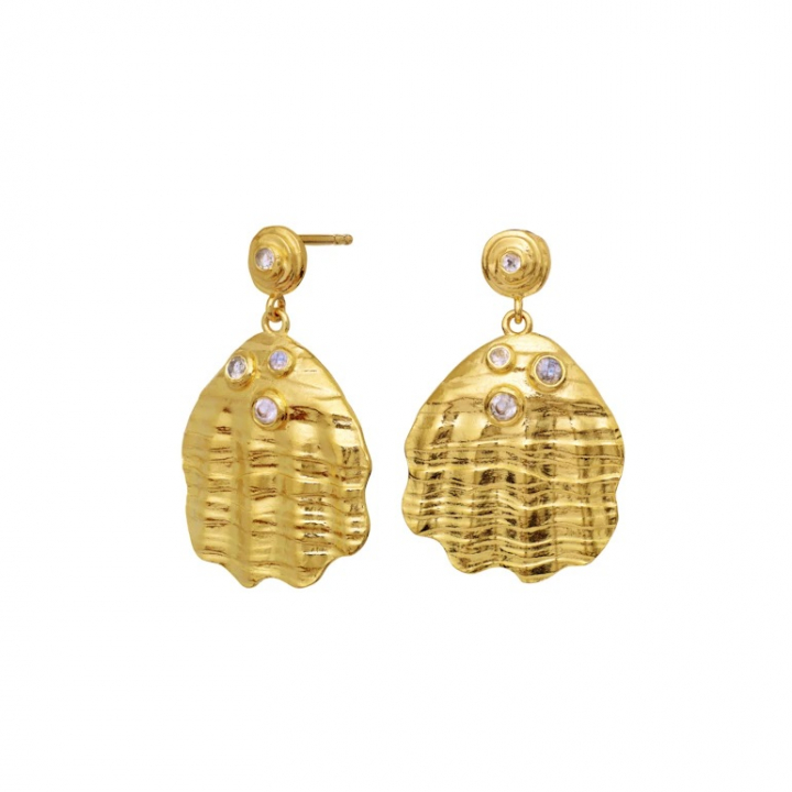 PALMA Earrings Gold in der Gruppe Ohrringe / Goldohrringe bei SCANDINAVIAN JEWELRY DESIGN (9879A)