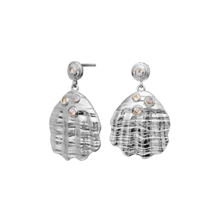 PALMA Earrings Silver in der Gruppe Ohrringe / Silberohrringe  bei SCANDINAVIAN JEWELRY DESIGN (9879C)