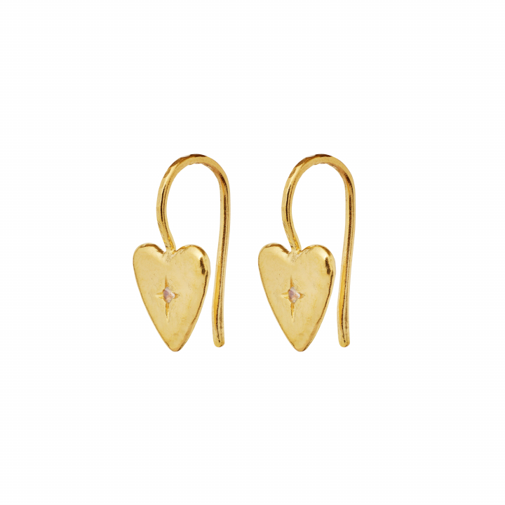 Chandra Earrings Gold in der Gruppe Ohrringe / Goldohrringe bei SCANDINAVIAN JEWELRY DESIGN (9933A)