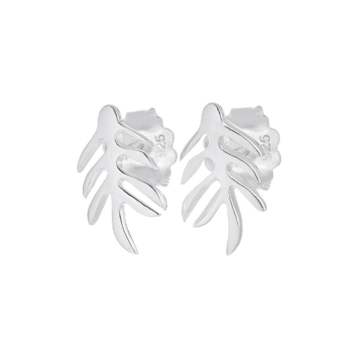 Autumn Leaf drop studs in der Gruppe Ohrringe / Silberohrringe  bei SCANDINAVIAN JEWELRY DESIGN (ALF-E1S000-S)