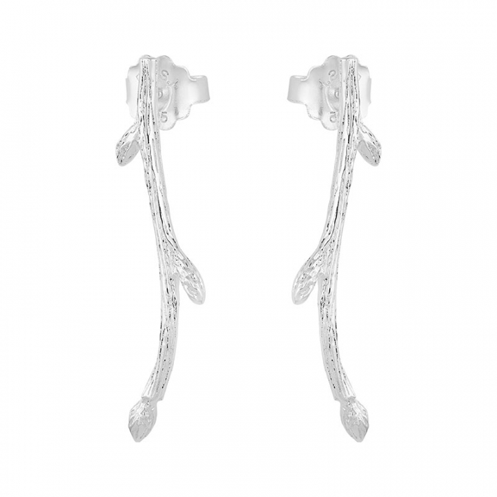 Branch earrings in der Gruppe Ohrringe / Silberohrringe  bei SCANDINAVIAN JEWELRY DESIGN (BAH-E2M000-S)