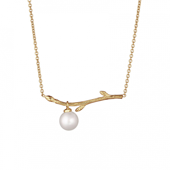 Branch pearl necklace gold in der Gruppe Ohrringe / Goldohrringe bei SCANDINAVIAN JEWELRY DESIGN (BAH-N1M2501-G)