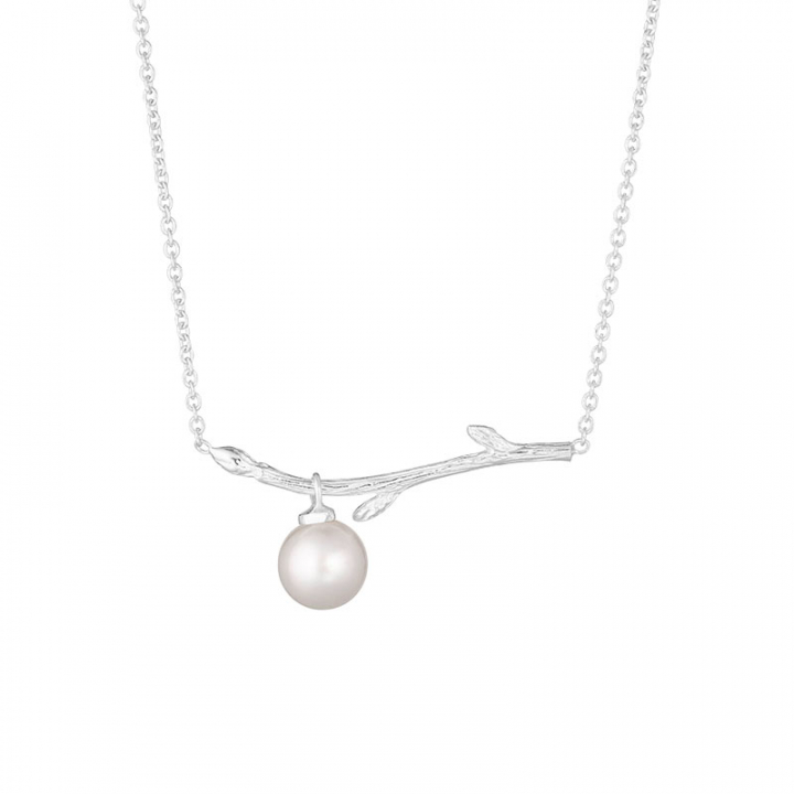 Branch pearl necklace in der Gruppe Halsketten / Silberhalsketten bei SCANDINAVIAN JEWELRY DESIGN (BAH-N1M2501-S)