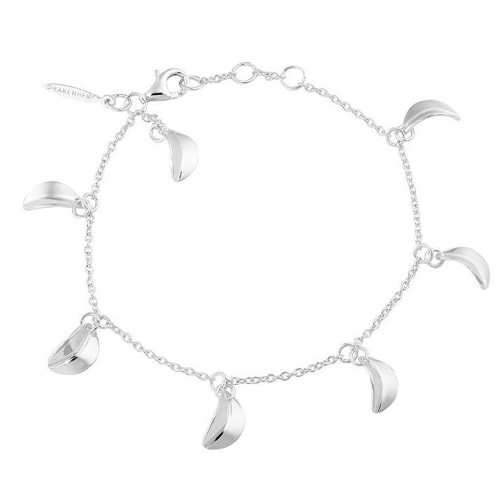 Product Image for DRAKENBERG SJÖLIN Botanica drop full bracelet