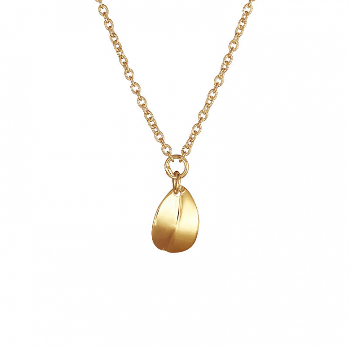 Botanica drop necklace gold in der Gruppe Halsketten / Goldhalsketten bei SCANDINAVIAN JEWELRY DESIGN (BTA-N1S451-G)