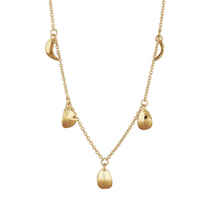 Botanica drop full necklace gold in der Gruppe Halsketten / Goldhalsketten bei SCANDINAVIAN JEWELRY DESIGN (BTA-N3S501-G)