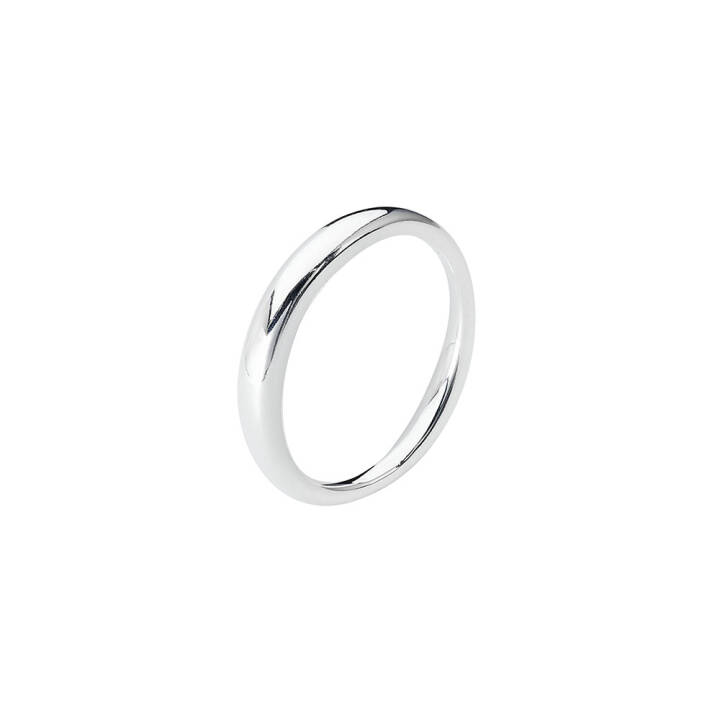 Product Image for DRAKENBERG SJÖLIN Les Amis ring 17,5 Silber