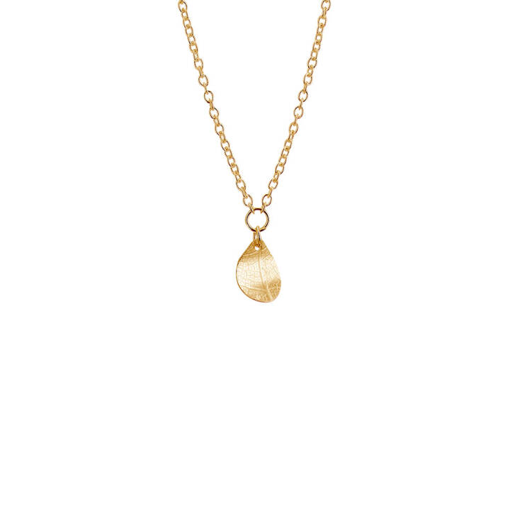 Leaf drop Halsketten Gold in der Gruppe Halsketten / Goldhalsketten bei SCANDINAVIAN JEWELRY DESIGN (LEF-N10401-G)