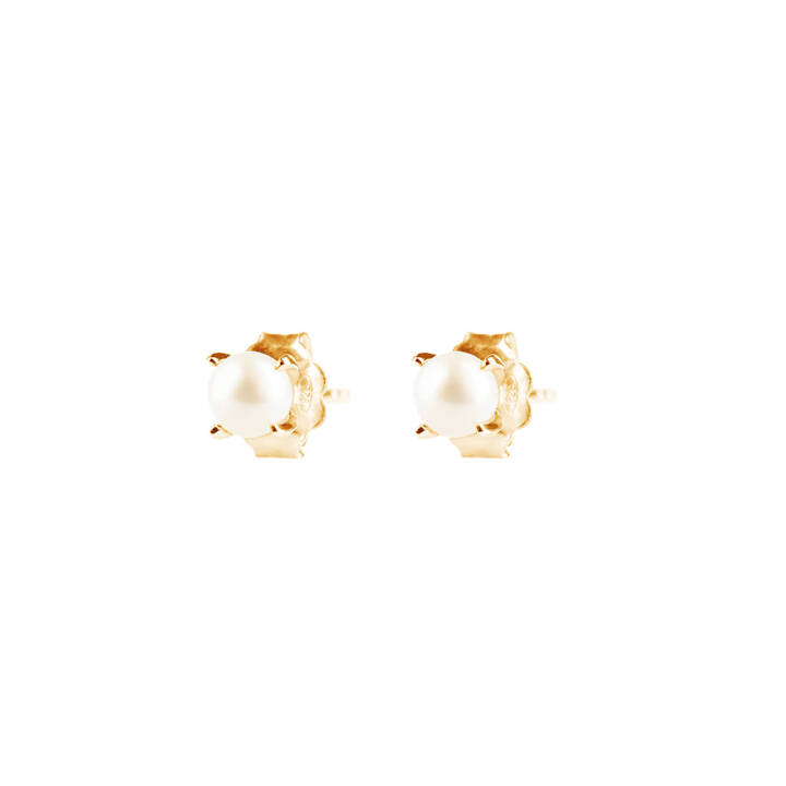 Petite Pearl Ohrring Gold in der Gruppe Ohrringe / Perlenohrringe bei SCANDINAVIAN JEWELRY DESIGN (PPL-E1M000-G)