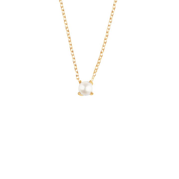 Petite Pearl Halsketten Gold in der Gruppe Halsketten / Goldhalsketten bei SCANDINAVIAN JEWELRY DESIGN (PPL-N1M451-G)