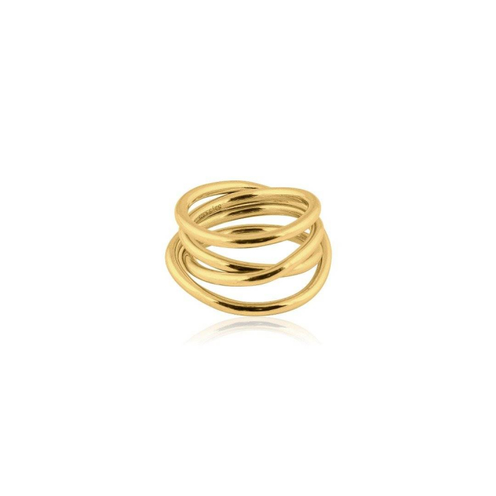 Chaos Ring (Gold) in der Gruppe Ringe bei SCANDINAVIAN JEWELRY DESIGN (R1921GPB0)
