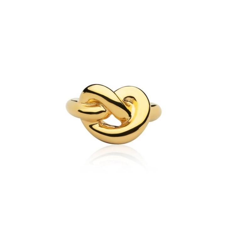 Knot Giant Ring (Gold) in der Gruppe Ringe bei SCANDINAVIAN JEWELRY DESIGN (R2104GPB0)