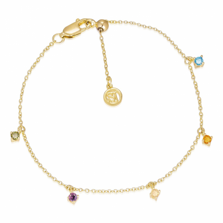 ELLERA PICCOLO Bracelets (Gold) in der Gruppe Armbänder / Goldarmbänder bei SCANDINAVIAN JEWELRY DESIGN (SJ-B12211-ACZ-SG)