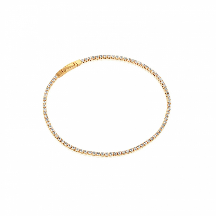 ELLERA Armbänder Vita Zirkoner Gold in der Gruppe Armbänder / Goldarmbänder bei SCANDINAVIAN JEWELRY DESIGN (SJ-B2869N-CZ-YG)