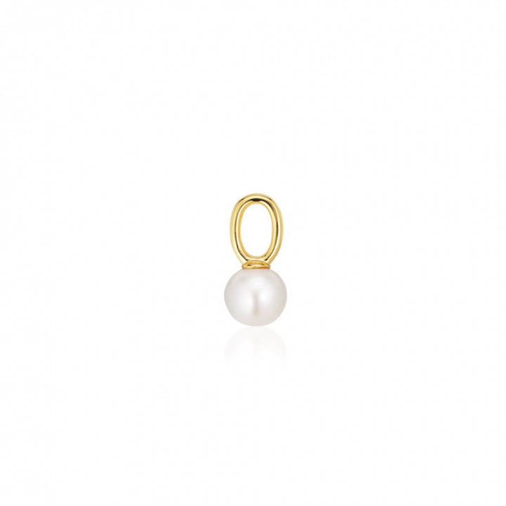 Charm Perla Uno  - 18k Goldpläterad, med sötvattenpärla Hoop  in der Gruppe Ohrringe / Perlenohrringe bei SCANDINAVIAN JEWELRY DESIGN (SJ-CH2378-P-YG)