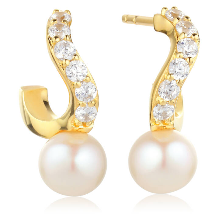PONZA CREOLO PICCOLO Ohrring in der Gruppe Ohrringe / Perlenohrringe bei SCANDINAVIAN JEWELRY DESIGN (SJ-E12350-PCZ-YG)