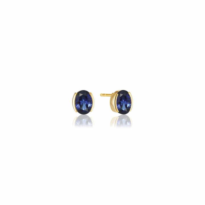 Ellisse Carezza - 18k Goldpläterade, med blåa zirkoner Ohrring in der Gruppe Ohrringe / Goldohrringe bei SCANDINAVIAN JEWELRY DESIGN (SJ-E2350-BLCZ-YG)