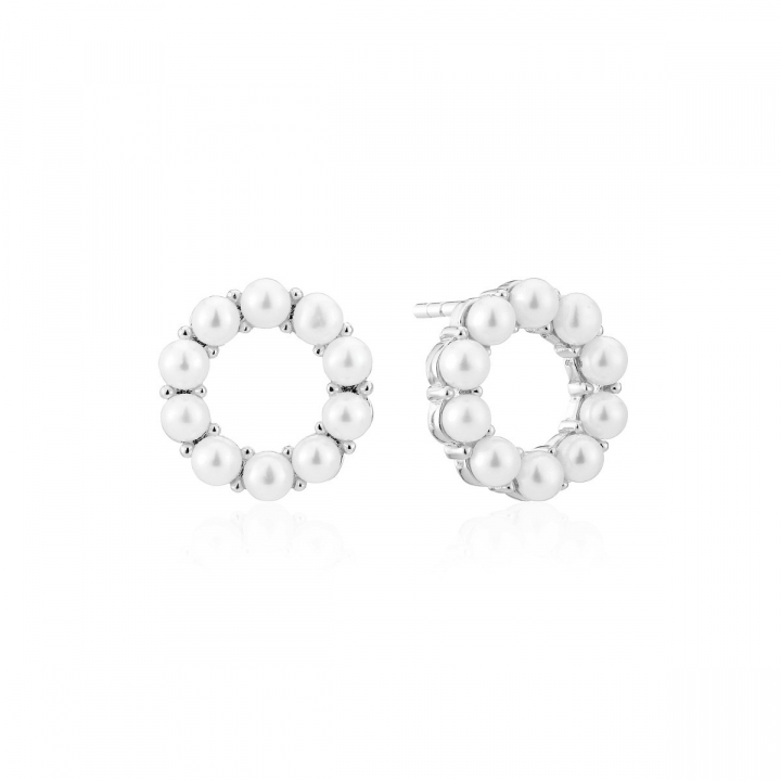 BIELLA ALTRO PERLA EARRINGS in der Gruppe Ohrringe / Perlenohrringe bei SCANDINAVIAN JEWELRY DESIGN (SJ-E2433-P)